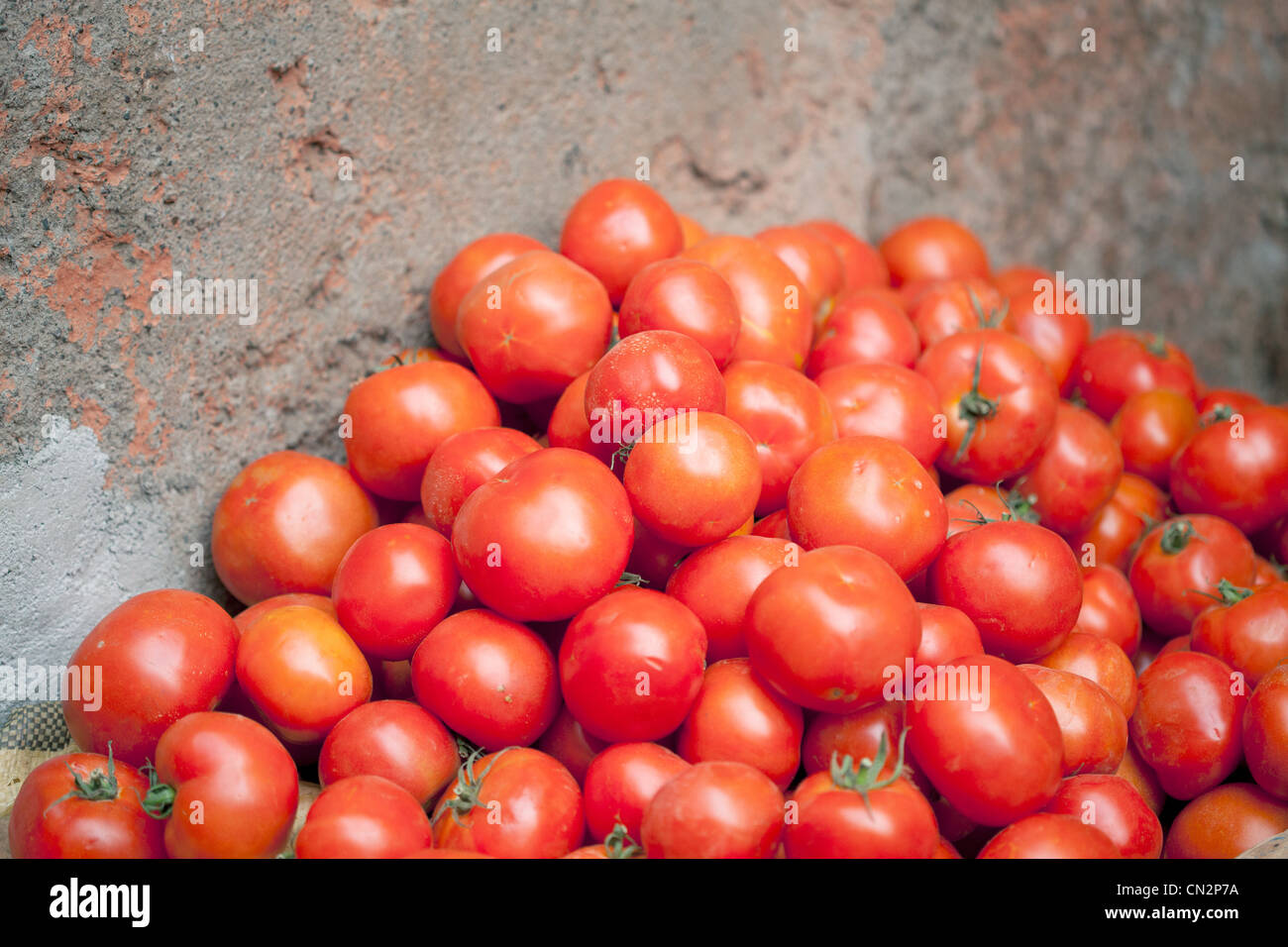 Tomaten im Markt Stockfoto