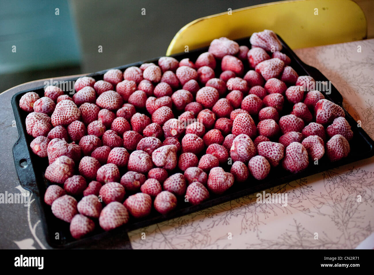 Gefrorene Erdbeeren auf Backform Stockfoto