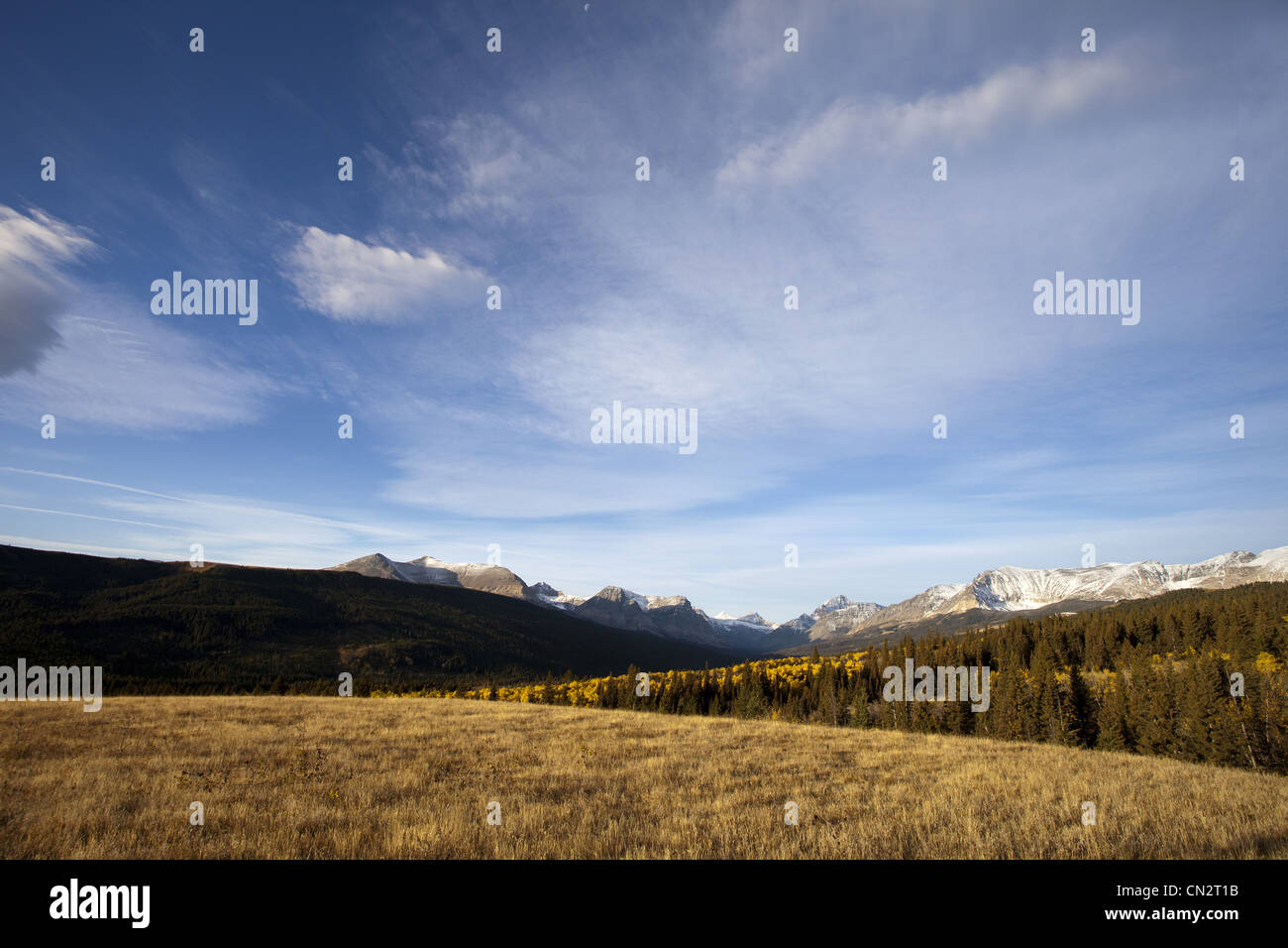 Bäume und Feld Gras mit Schnee bedeckten Bergen im Hintergrund, Montana, USA Stockfoto