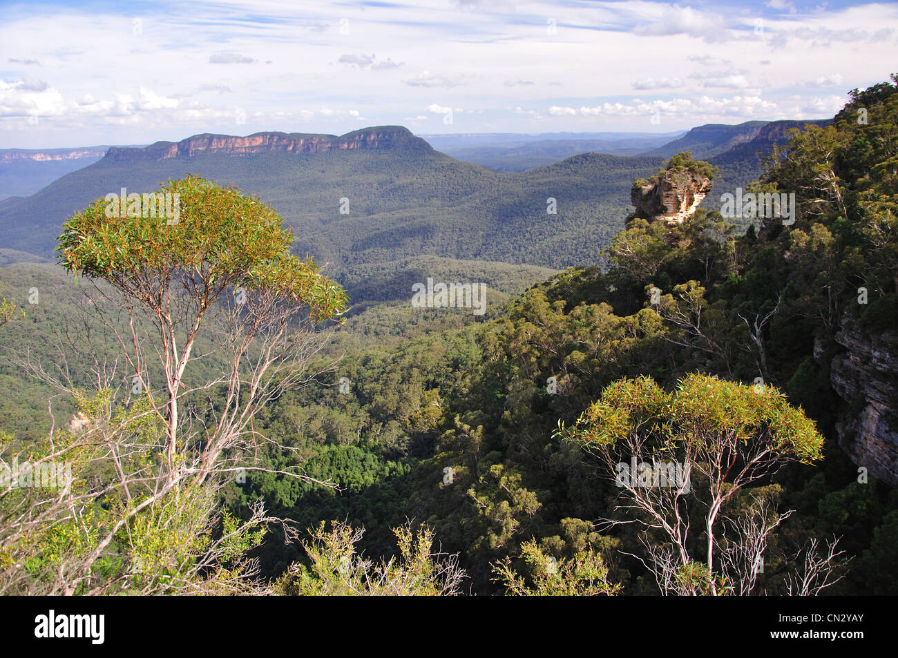 Das Jamison Valley, Blue Mountains, New South Wales, Australien Stockfoto