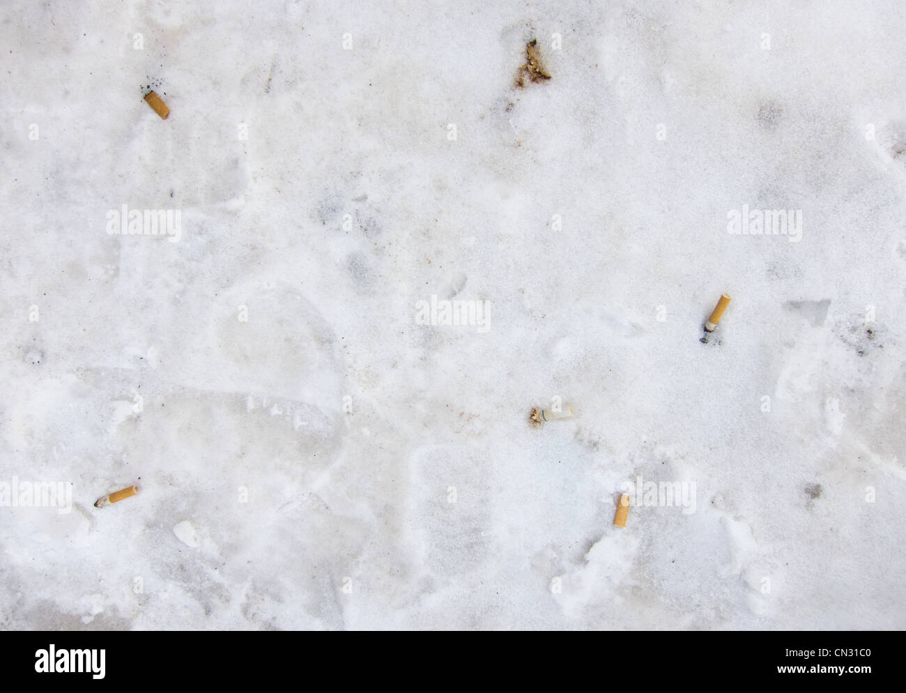 Zigarettenkippen im Schnee Stockfoto