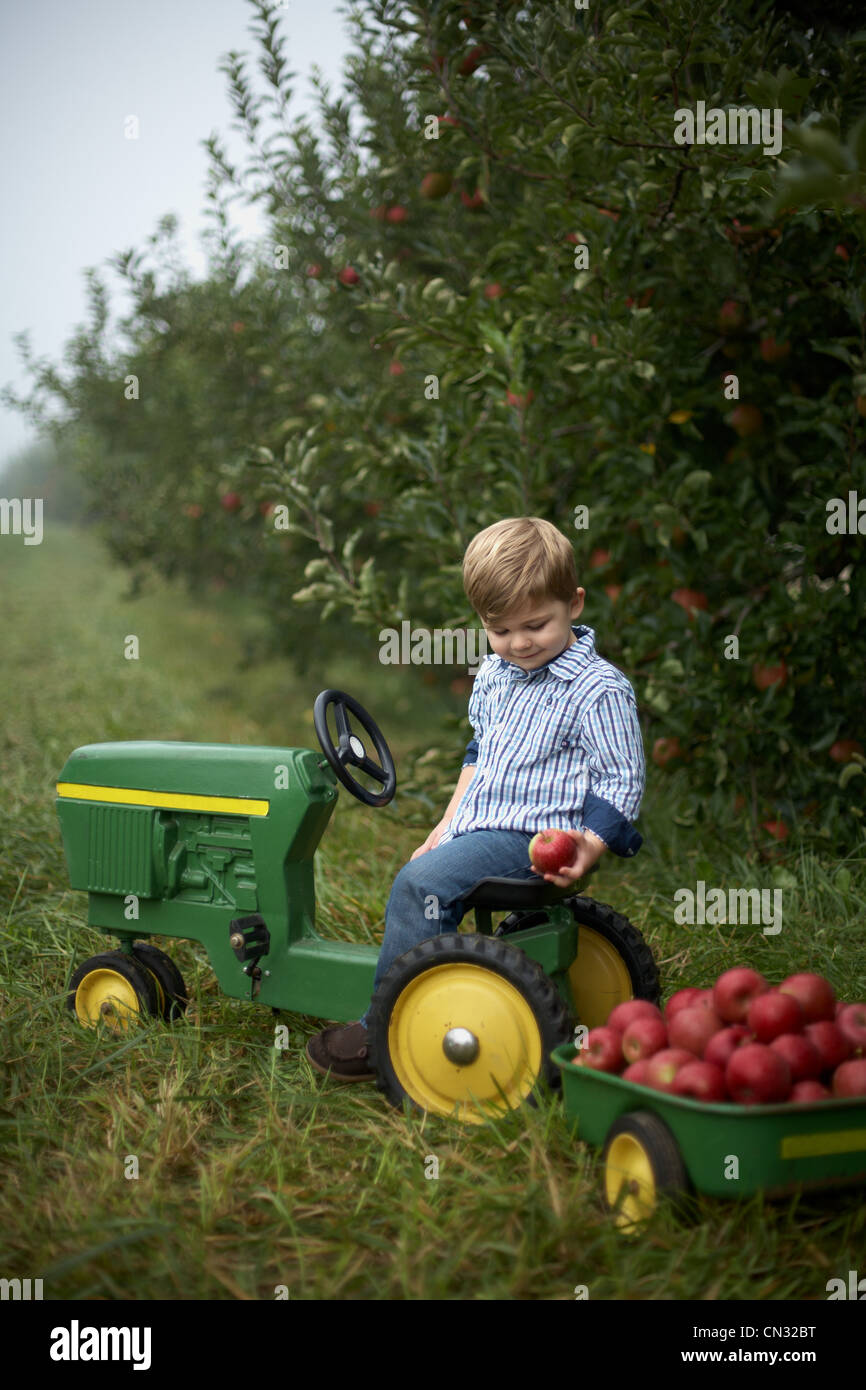 Junge auf Spielzeug-Traktor Stockfoto