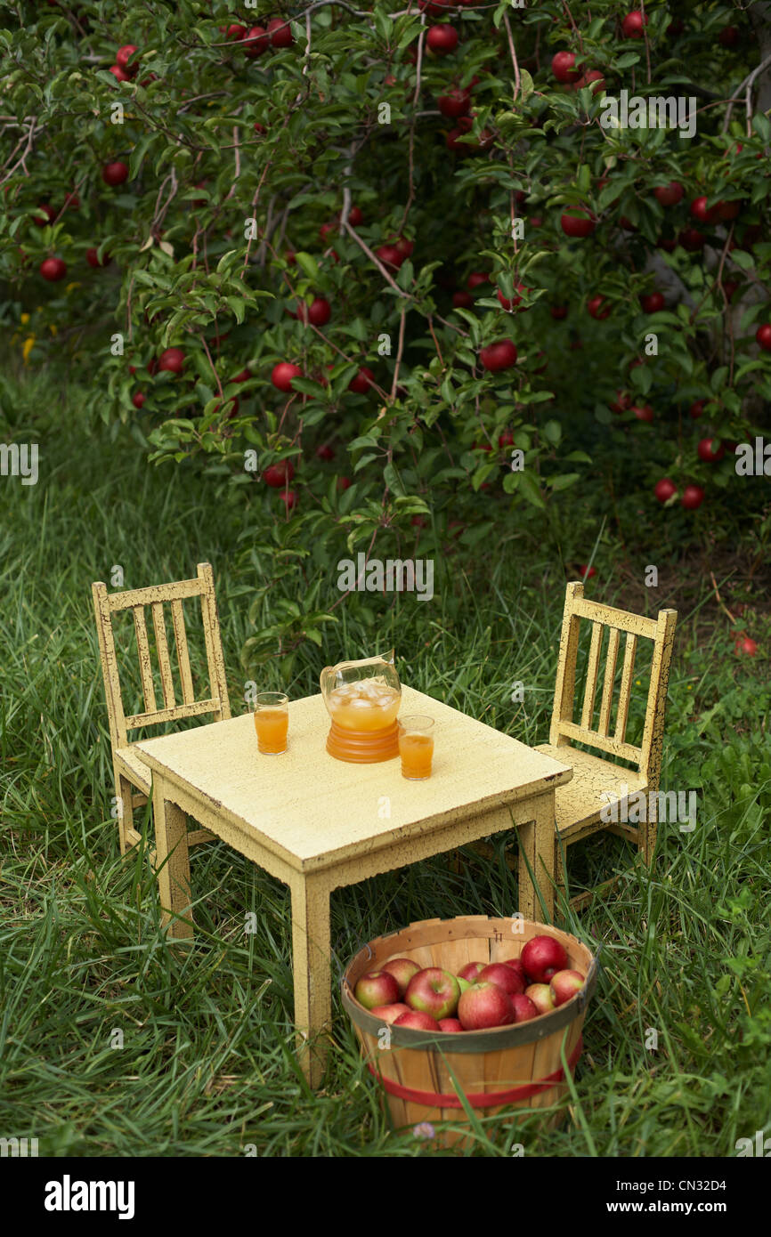 Tisch und Stühle mit frischer Apfelsaft Stockfoto