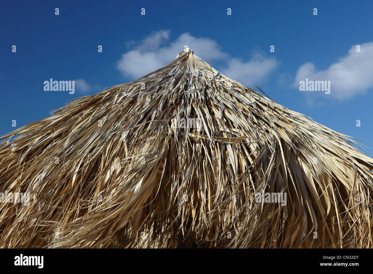 Palm Leaf Sonnenschirm, Aruba, Karibik Stockfoto