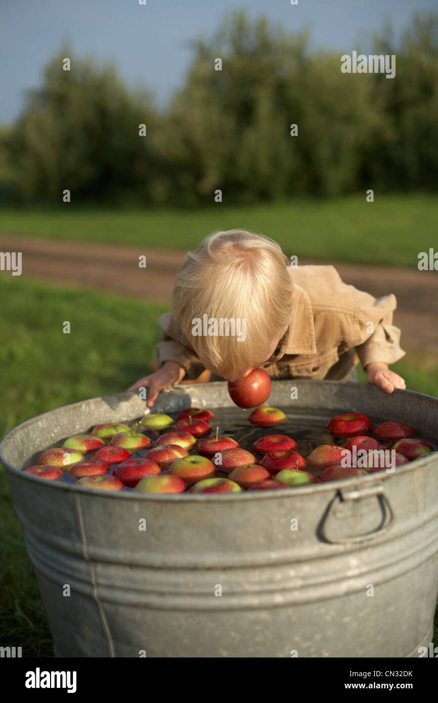 Junge Apple bobbing Stockfoto