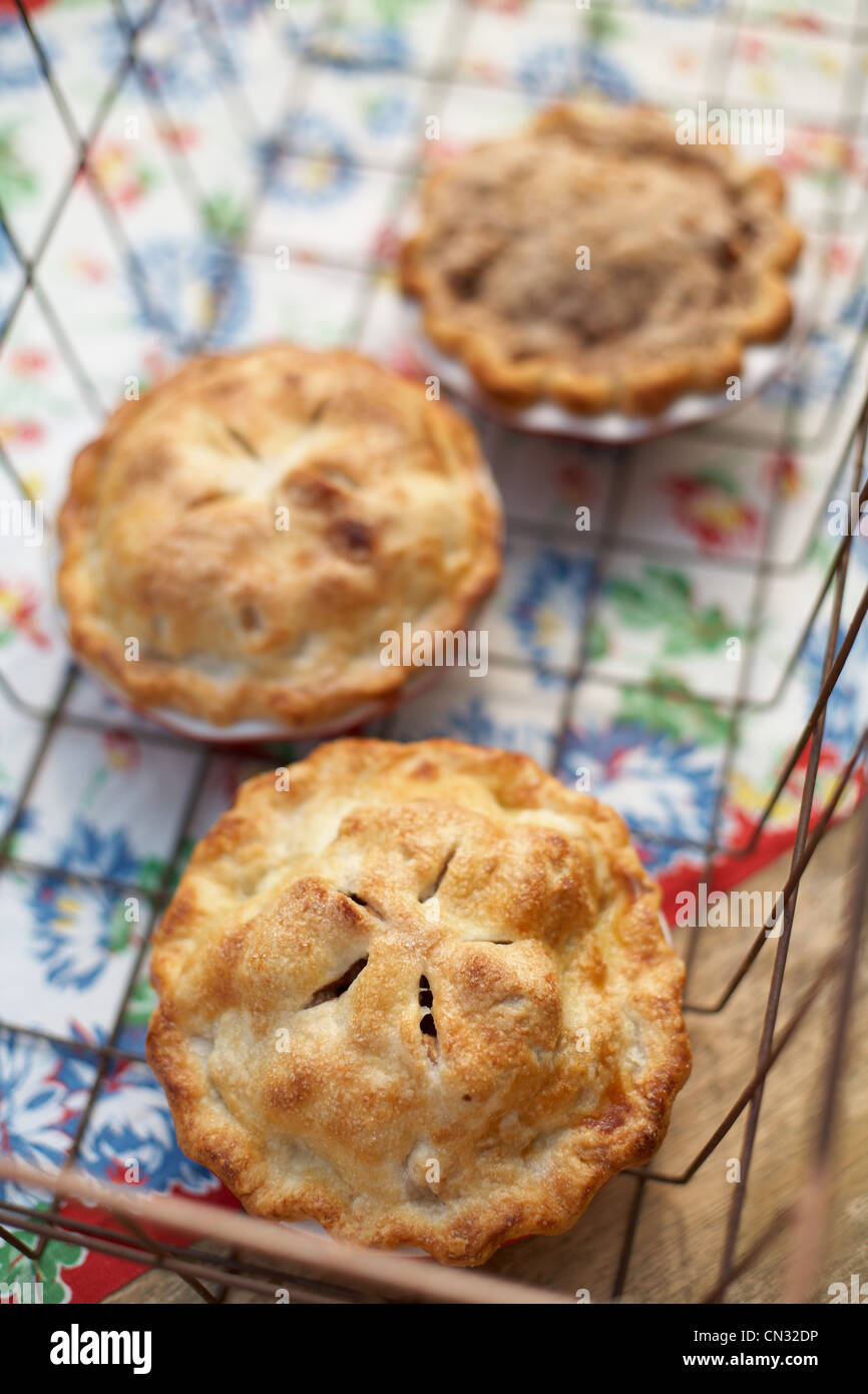 Hausgemachter Apfelkuchen Stockfoto
