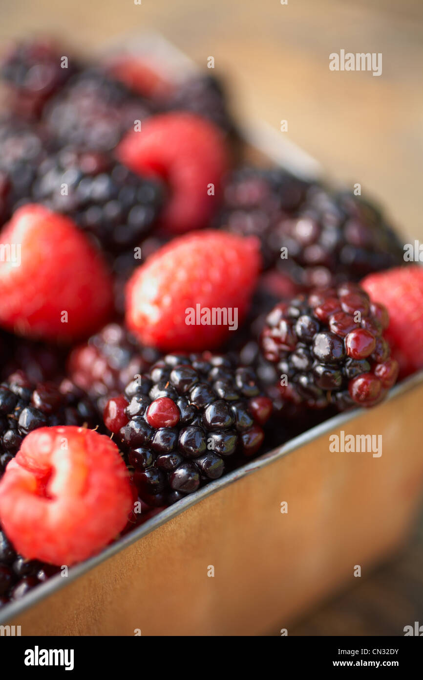 Frische Himbeeren und Brombeeren, Nahaufnahme Stockfoto