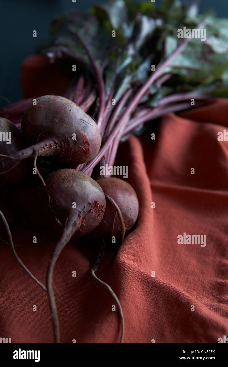 Frische rote Beete Stockfoto