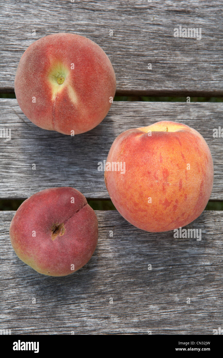 Frische Pfirsiche, Stillleben Stockfoto