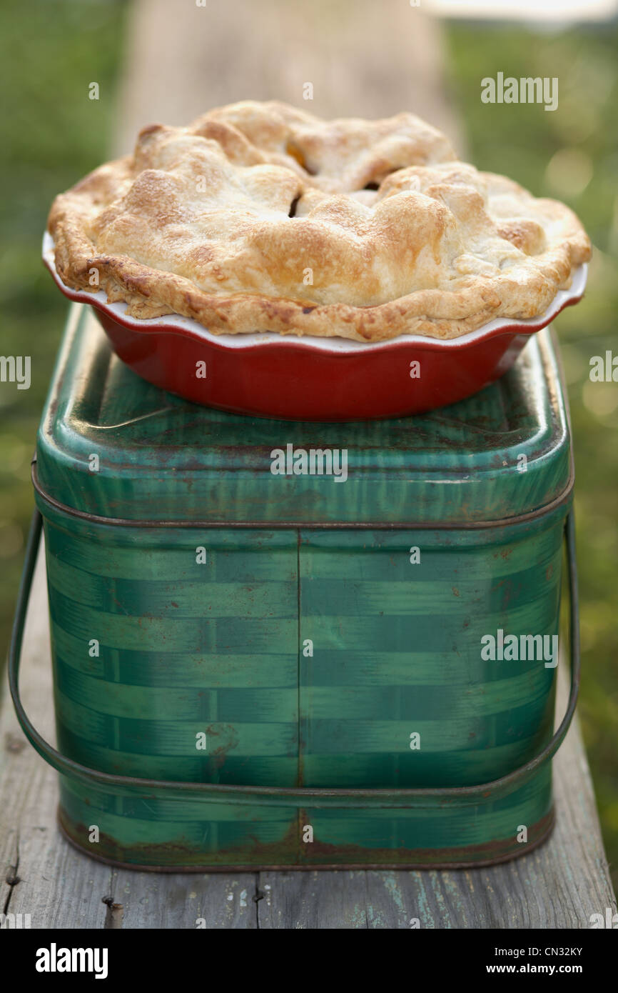 Hausgemachter Apfelkuchen Stockfoto