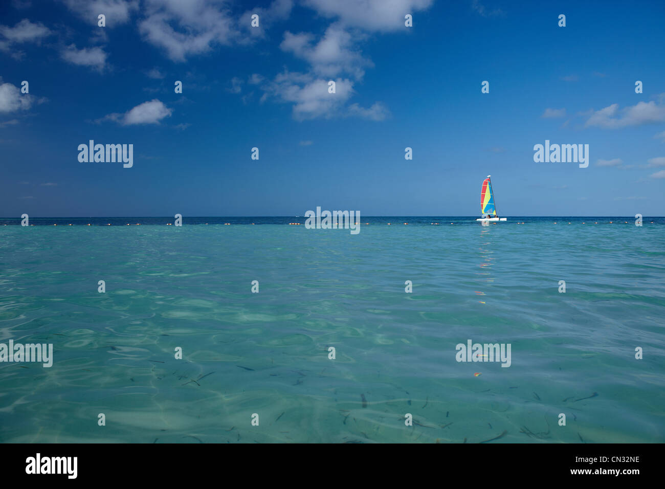 Katamaran, Aruba, Caribbean Stockfoto