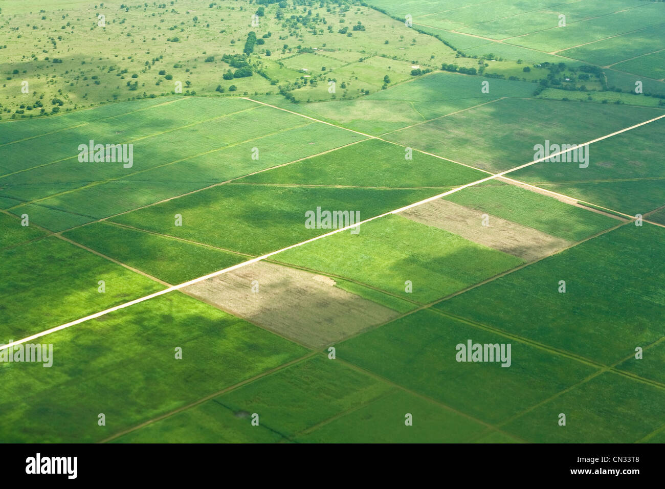 Luftaufnahme über Felder, Dominikanische Republik Stockfoto