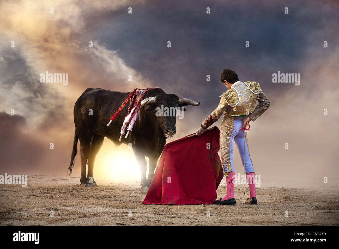 Stier Rot The red bull sport -Fotos und -Bildmaterial in hoher Auflösung – Alamy