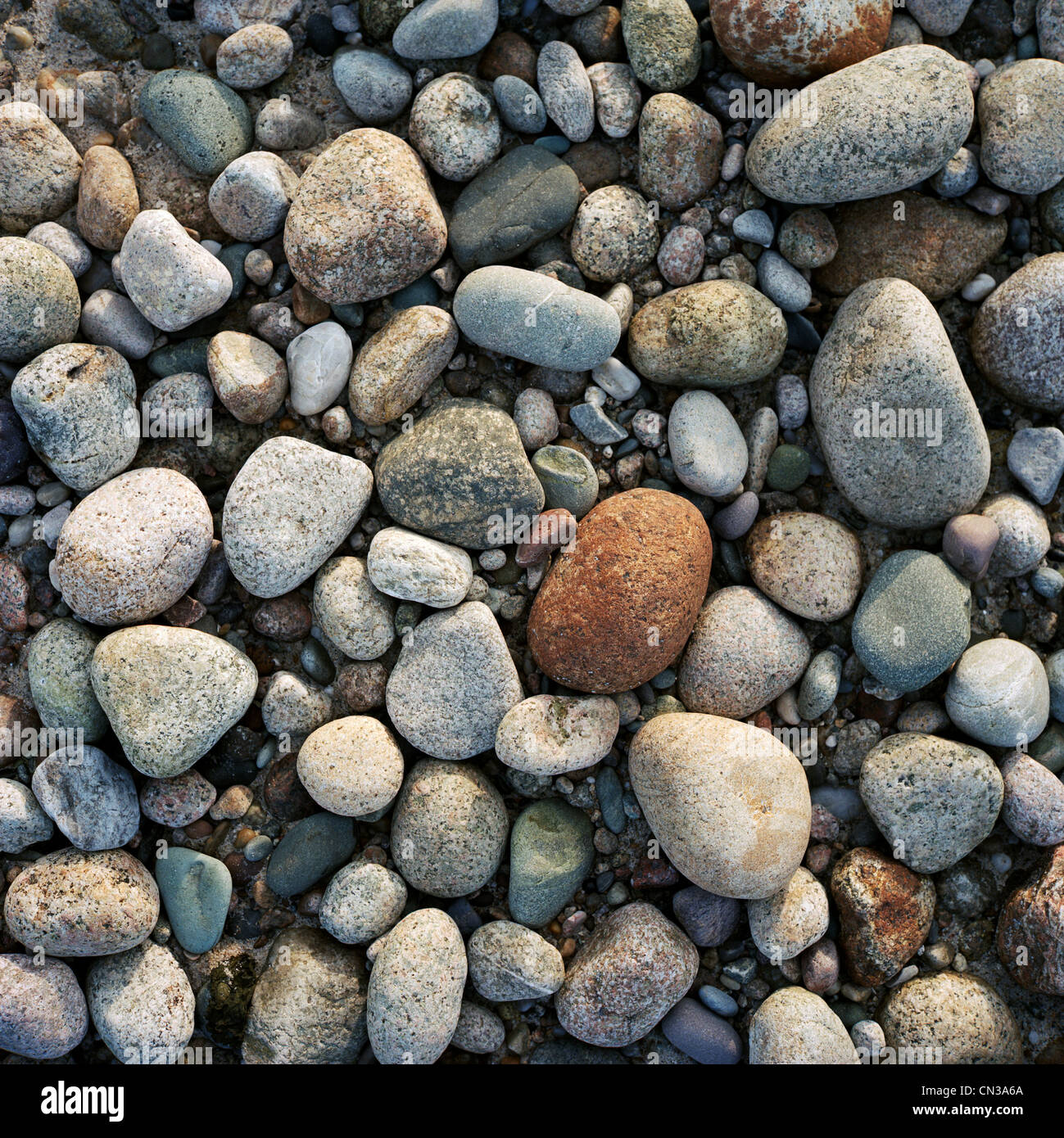 Kiesel, full-frame Stockfoto