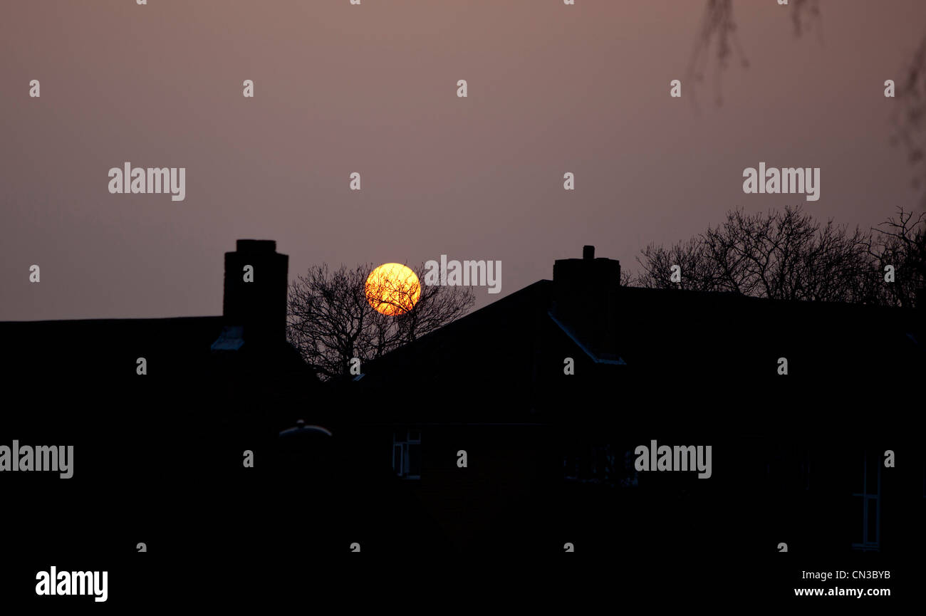 East Finchley Dächer bei Sonnenuntergang, London, England, UK Stockfoto