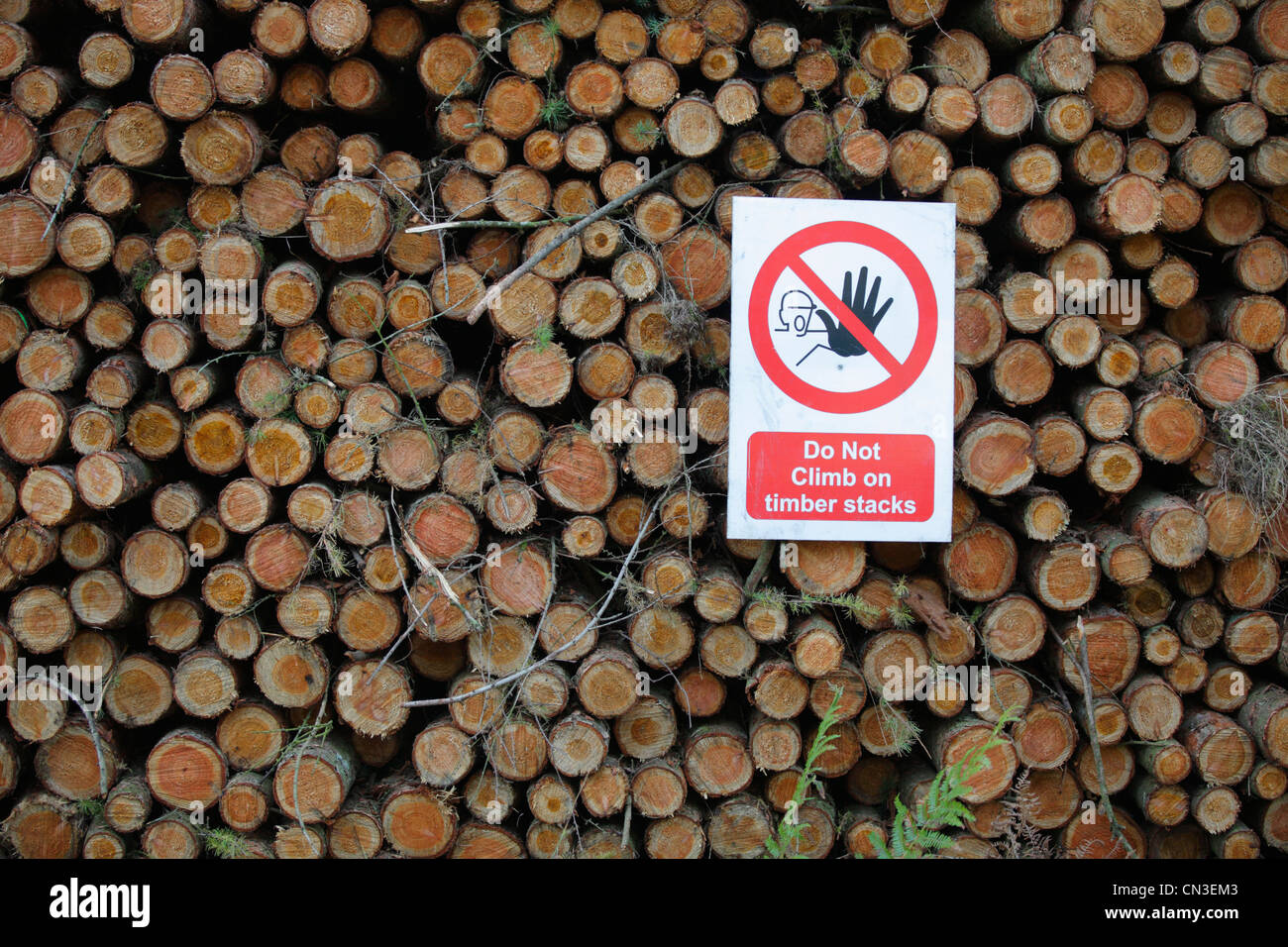 Warnzeichen auf einem Protokoll-Stack. Im Wald des Dekans, Gloucestershire, England. September. Stockfoto