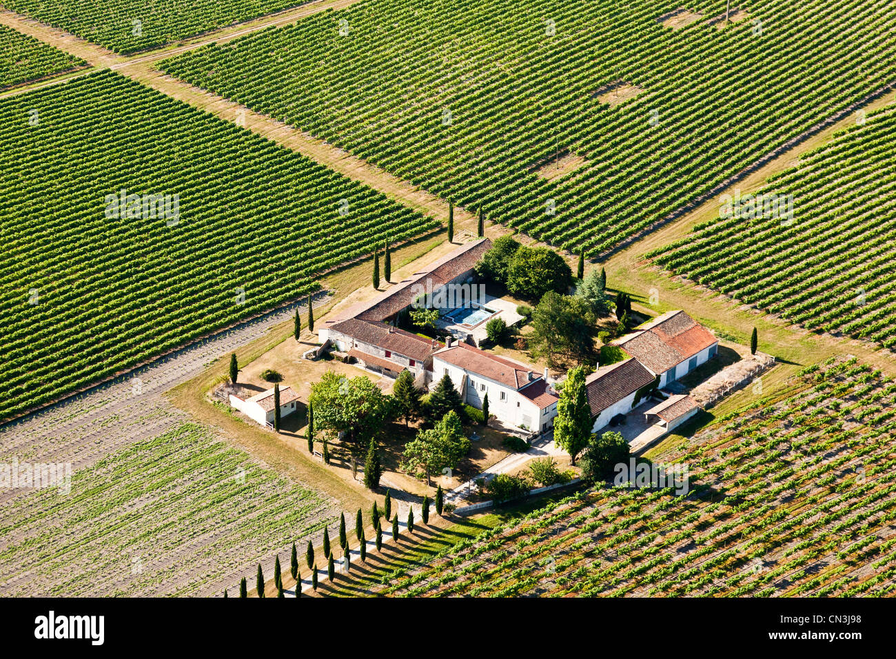 Frankreich, Charente, Bouteville, Bouteville bietet einen weiten Blick über die Weinberge von Cognac (Luftbild) Stockfoto