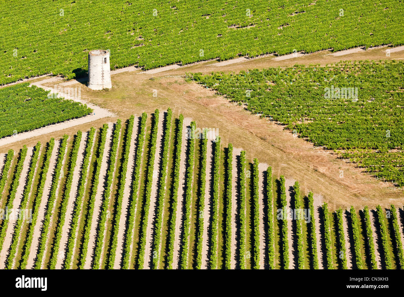 Frankreich, Charente, Touzac, Cognac Weinberge (Luftbild) Stockfoto