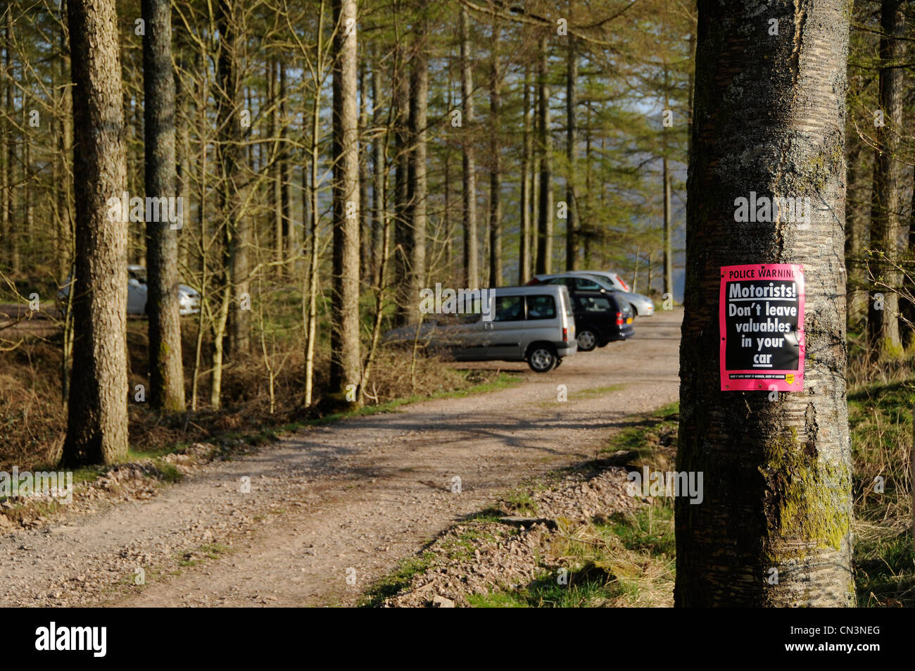 Polizei-Warnschild auf einem Baum Stockfoto