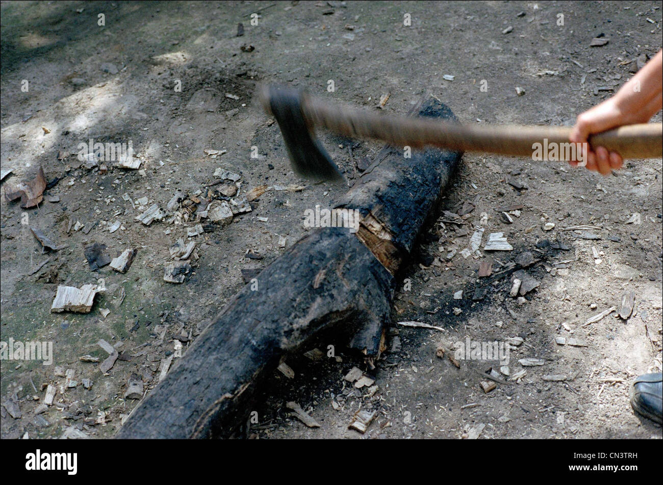 Axt hackt Holz für Brennholz Stockfoto