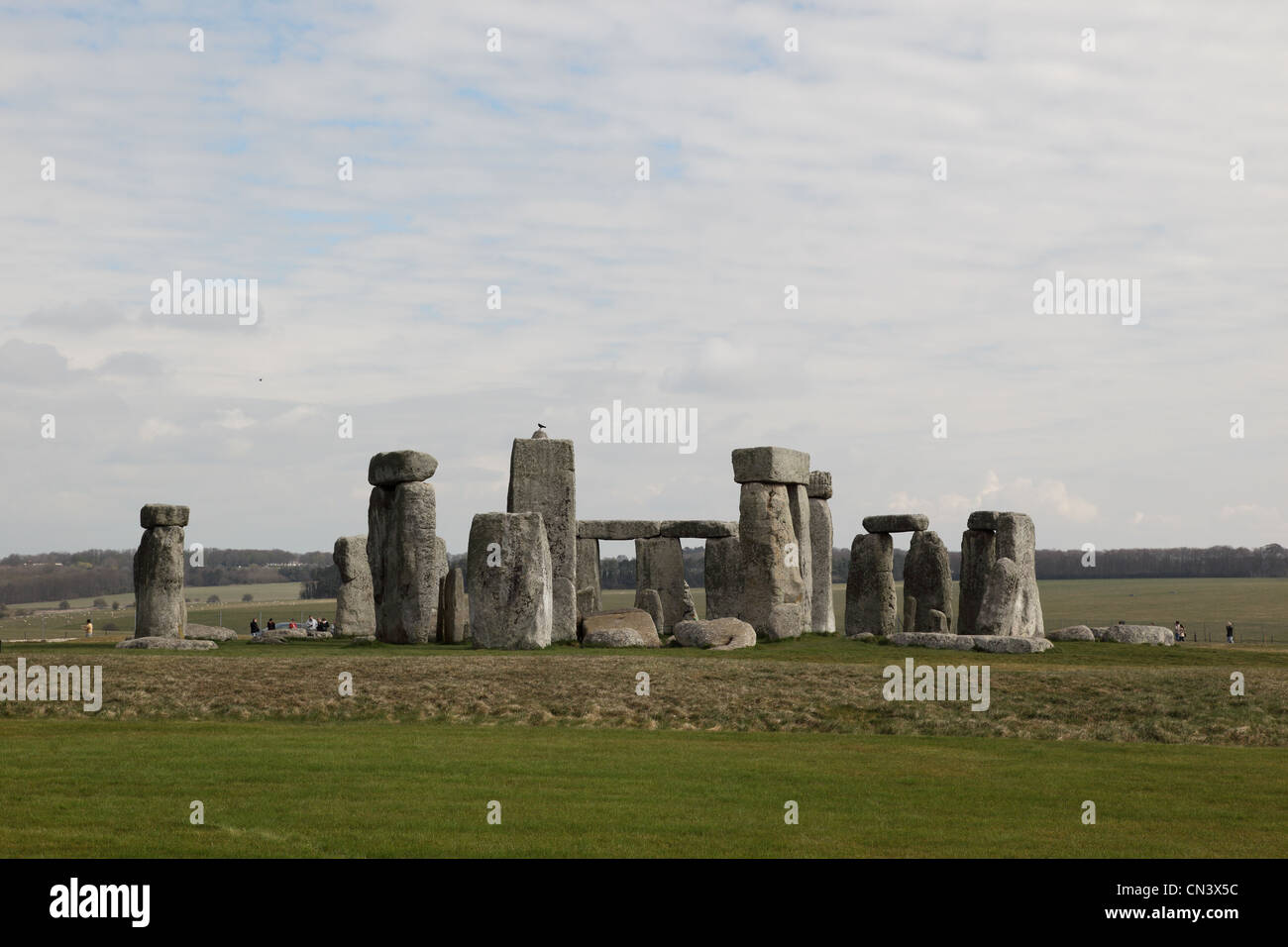 Stehende Steine in Stonehenge. Ein UNESCO-Weltkulturerbe in Wiltshire, England, Großbritannien Stockfoto