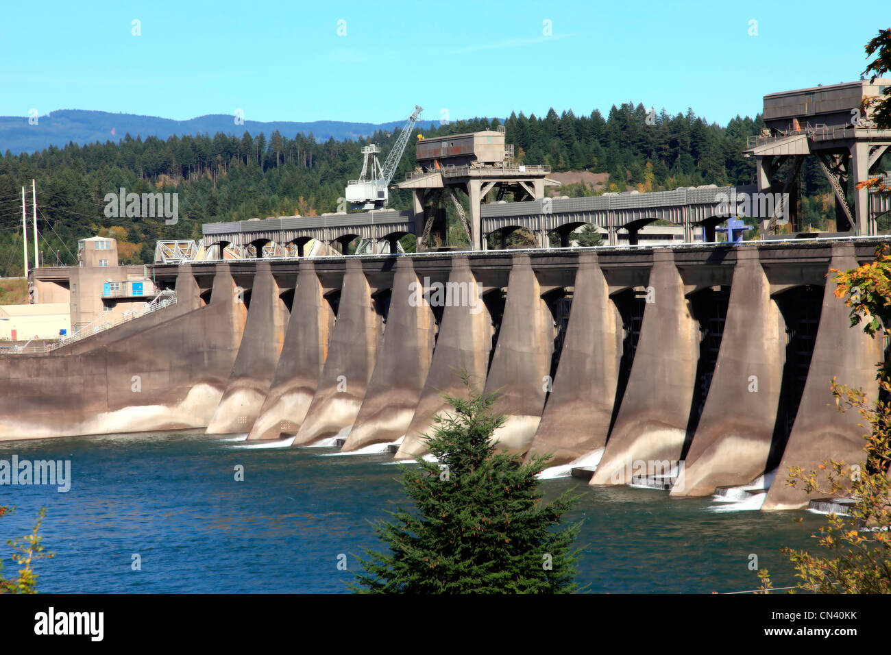 Bonneville dam-Nord-West, Oregon. Stockfoto