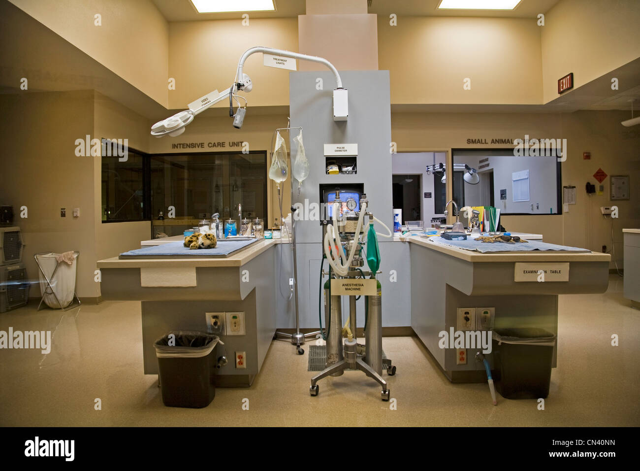 Eine Tierarztpraxis in eine Tierklinik in Palm Springs, Kalifornien Stockfoto