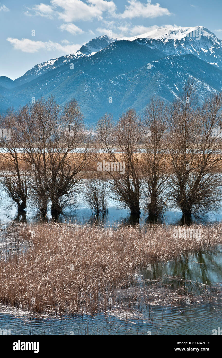 Der stymphalischen See im Frühjahr Hochwasser im südlichen Korinthia, Peloponnes, Griechenland. Stockfoto