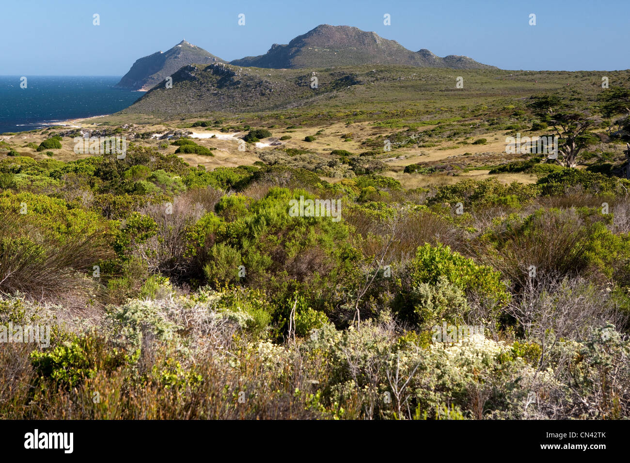 Kap-Halbinsel, in der Nähe Da Gama Kreuz, Südafrika Stockfoto