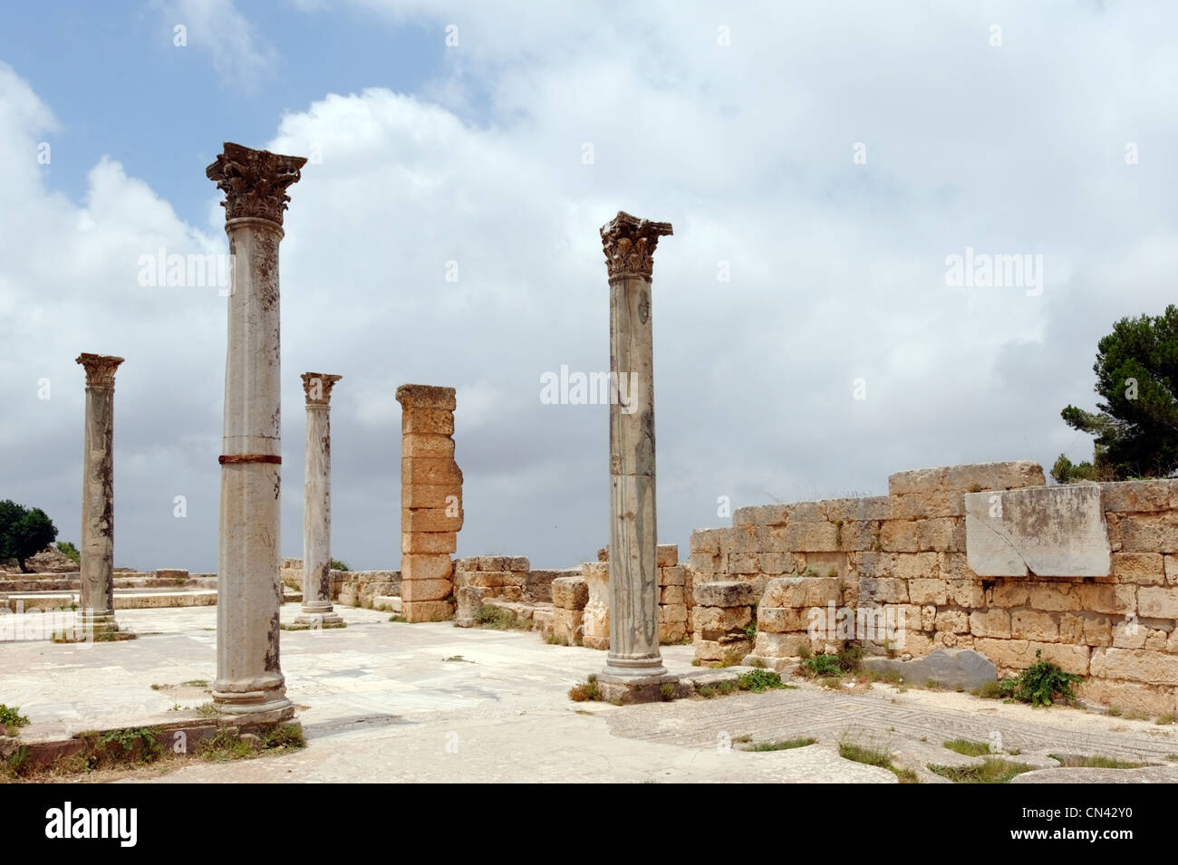 Cyrene. Libyen. Blick auf das Frigidarium oder kalten Zimmer mit eleganten Cipollino Säulen aus Marmor und Mosaik-Fußboden in den Bädern von Stockfoto