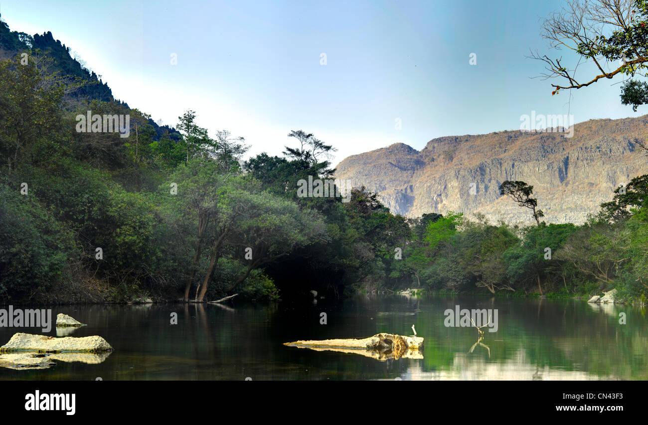 See im tiefen Wald, Panorama Stockfoto