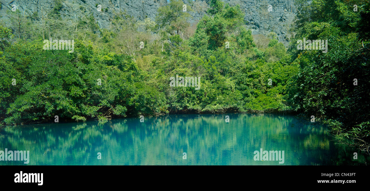 See im tiefen Wald, Panorama Stockfoto