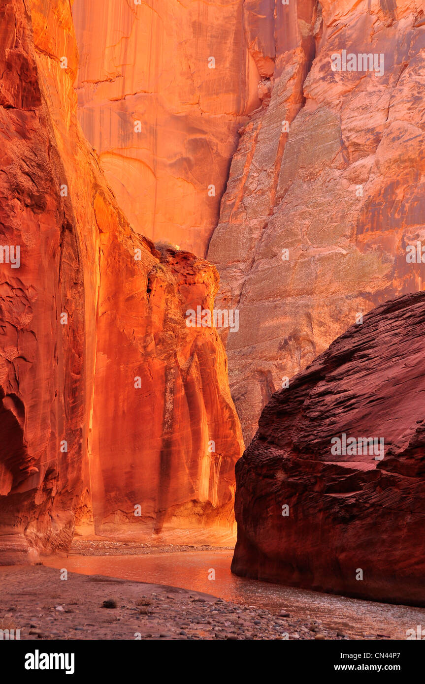 Paria River fließt durch die Tiefen der Paria Canyon, Arizona. Stockfoto