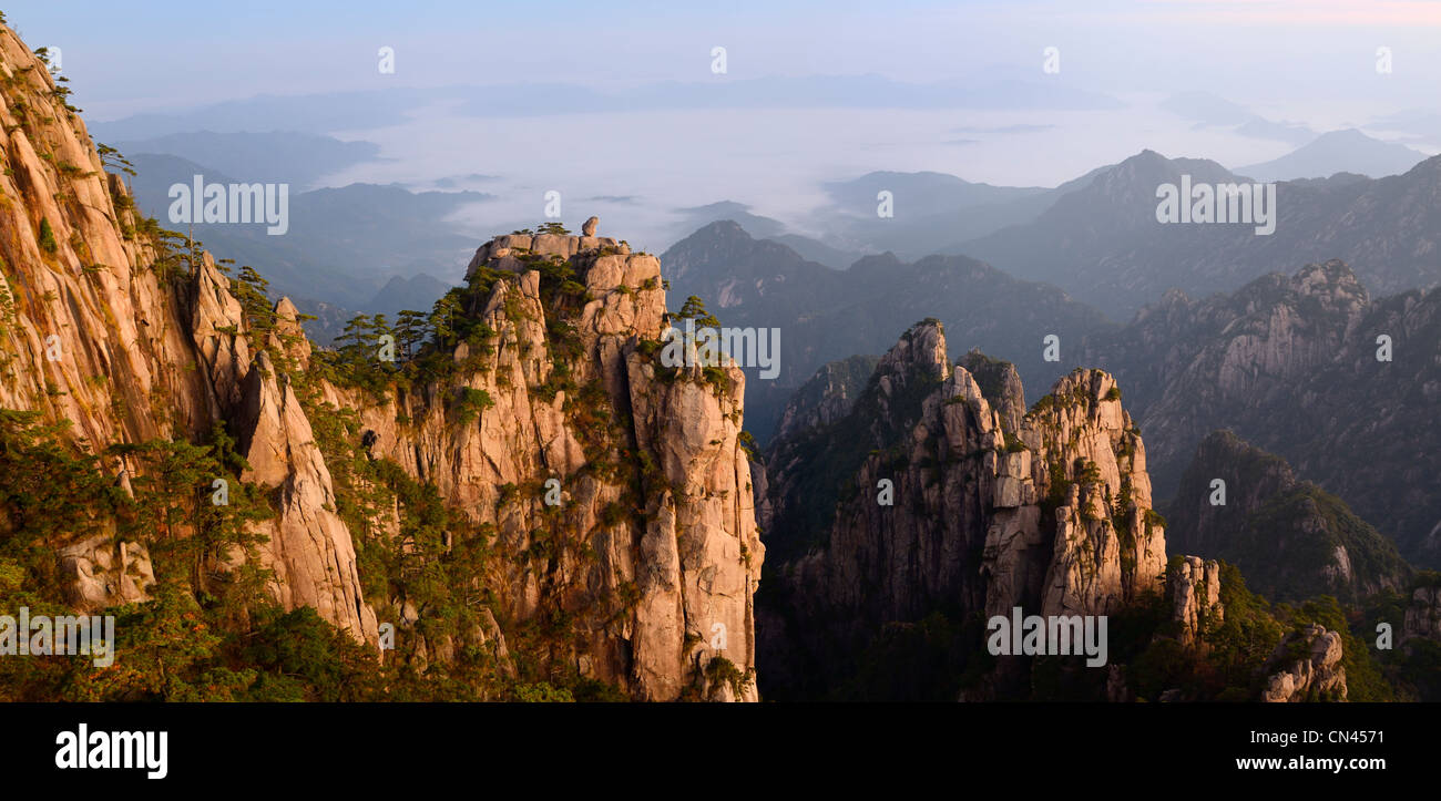 Panorama der Affe das Meer peak in der Dämmerung mit Nebel im Tal von huangshan Yellow Mountain china Stockfoto