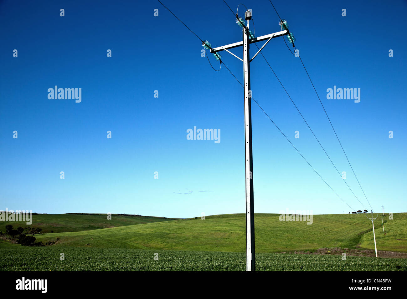Stromleitungen und grüne Wiese. Blauer Himmel. Stockfoto