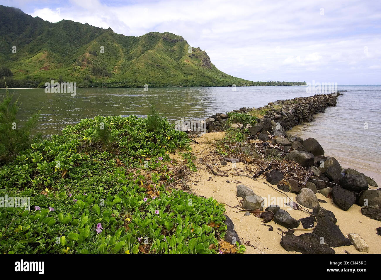 Elk284-1789 Hawaii, Oahu, Luv, Kahana Tal SP, Strand Stockfoto