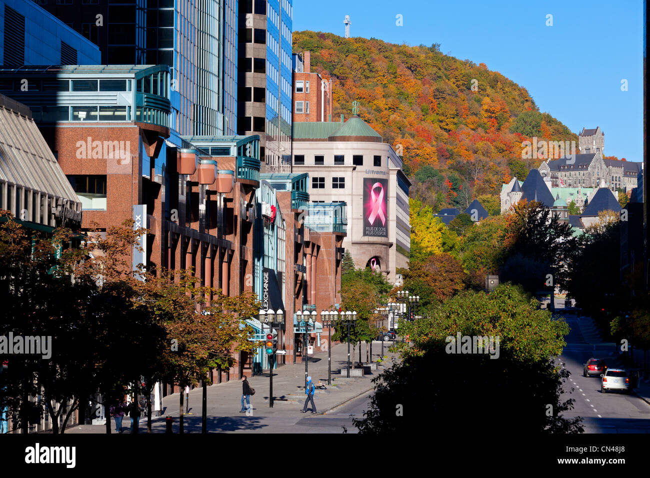 Kanada, Provinz Quebec, Montreal, Downtown, McGill College Avenue, an der Unterseite des Mont Royal in Herbstfarben Stockfoto