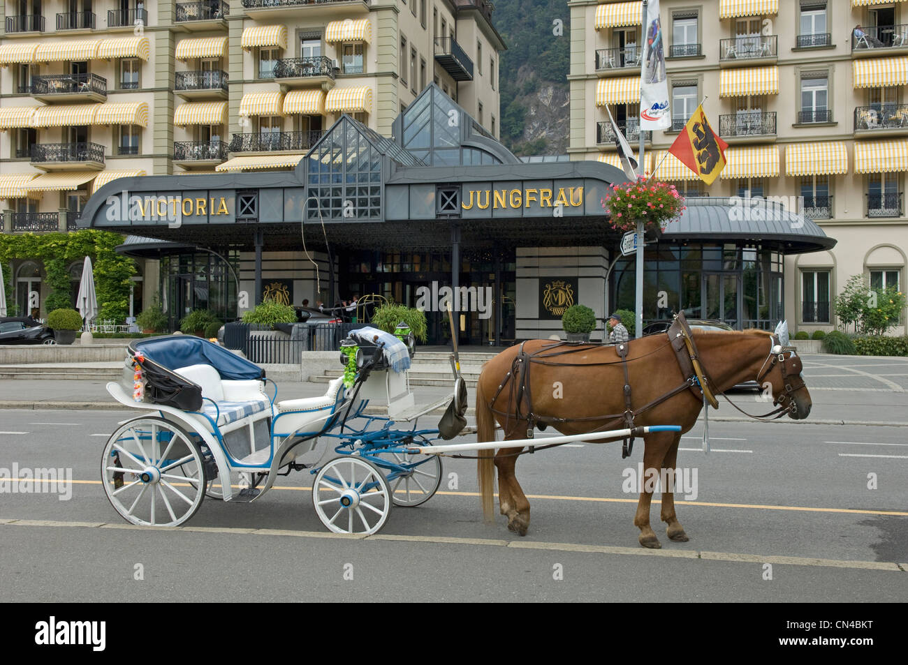 Pferdekutsche Kutsche vor dem Hotel Victoria Jungfrau in Interlaken im  Kanton Bern in der Schweiz Stockfotografie - Alamy