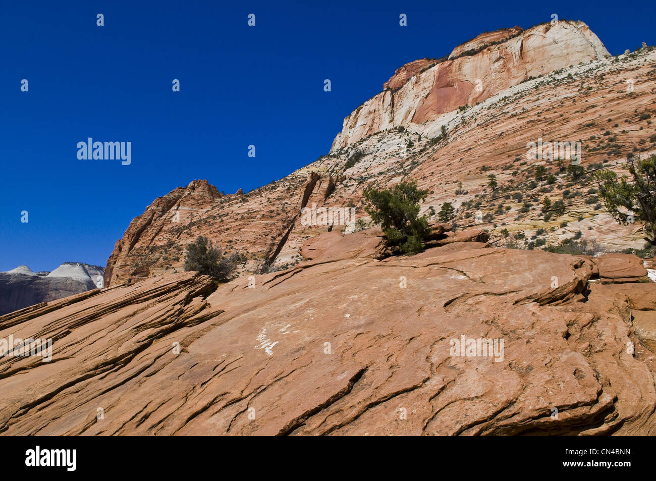 USA, Utah, Zion National Park, Rock am Zion Canyon und Jungfrau Creek Stockfoto