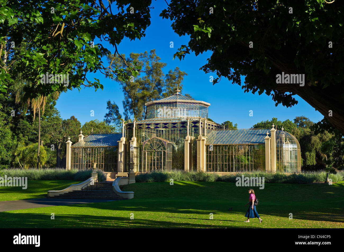 Australien, South Australia, Adelaide, Botanischer Garten, viktorianischen Gewächshaus 1875 und renoviert im Jahr 1992 aus Deutschland importiert Stockfoto
