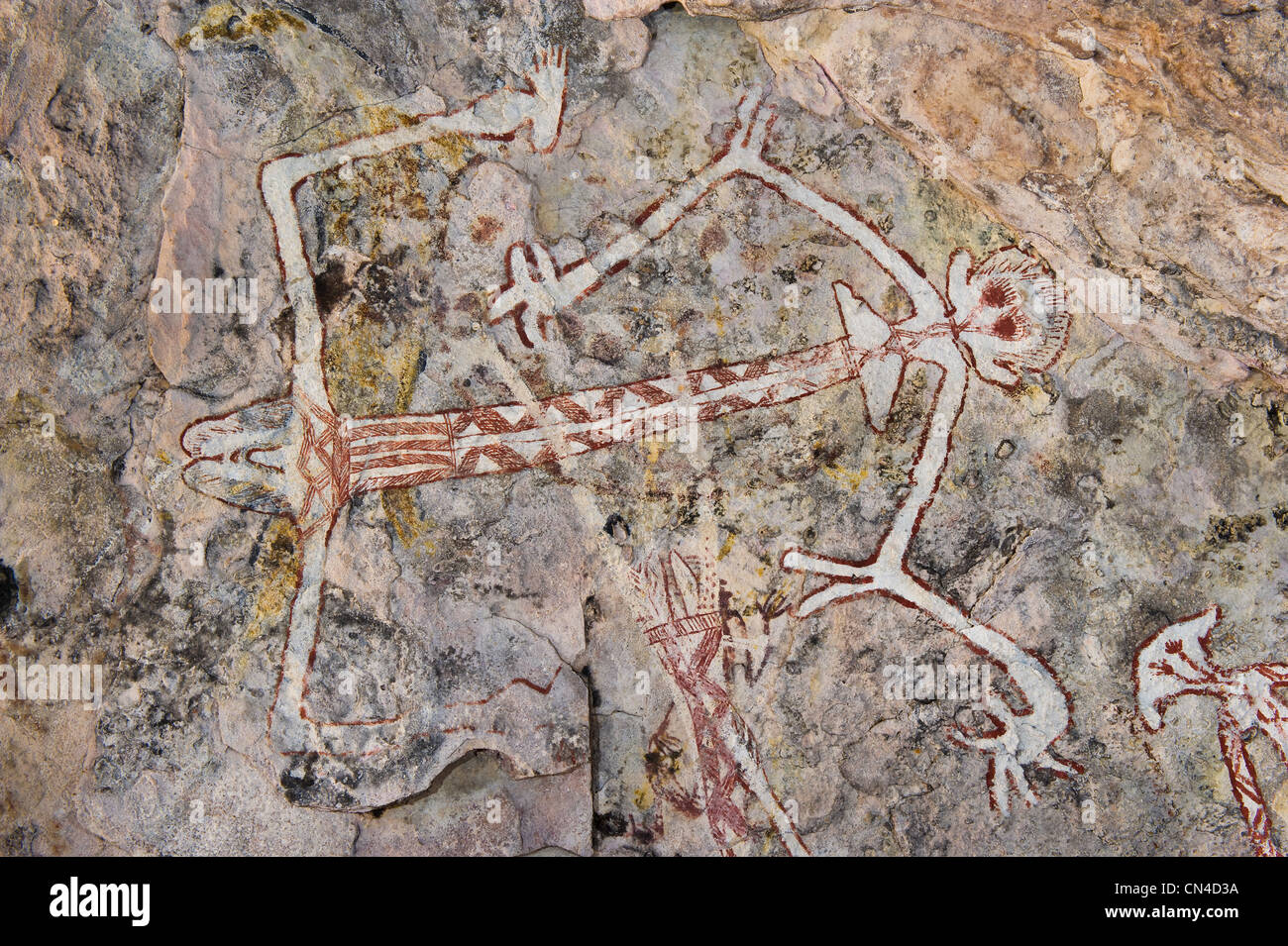 Australien, Northern Territory, Arnhemland, mont Borradaile, Max Davidson Camp, WWU Höhle, Aborigines Malerei der dekorative Stockfoto