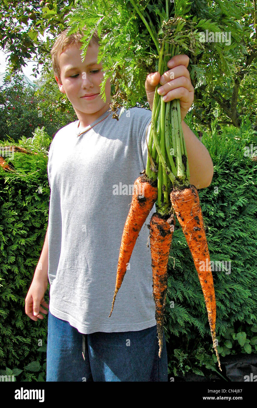 Junge mit preisgekrönten Karotten bereit für seine lokalen Blumen und Gemüse zeigen Stockfoto