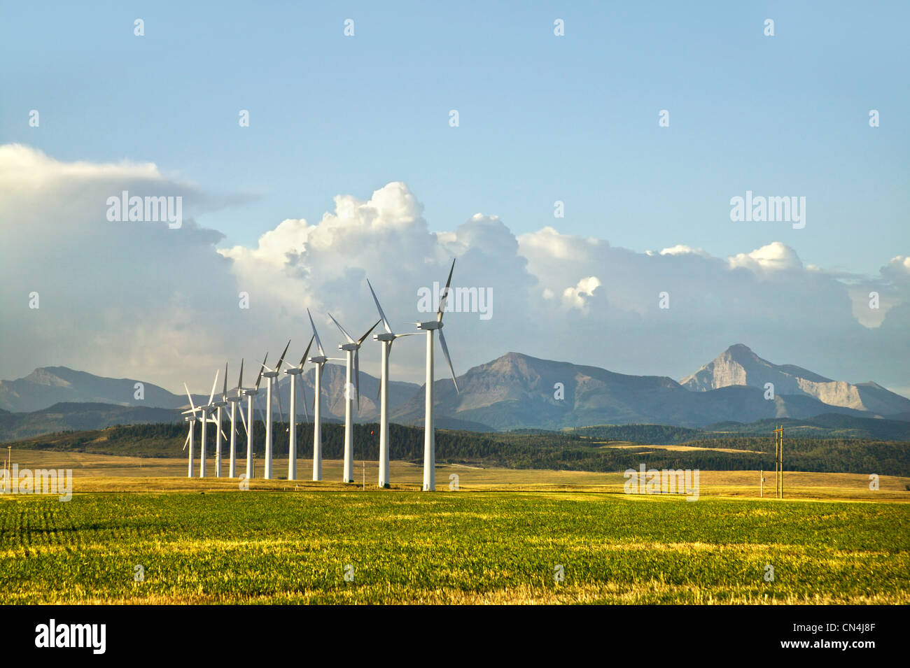 Windkraftanlagen, Pincher Creek, Alberta, Kanada Stockfoto