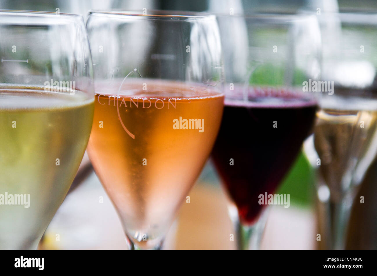 Australien, Victoria, Weinregion Yarra Valley im Norden östlich von Melbourne, Coldstream, Weinprobe in Domaine Stockfoto