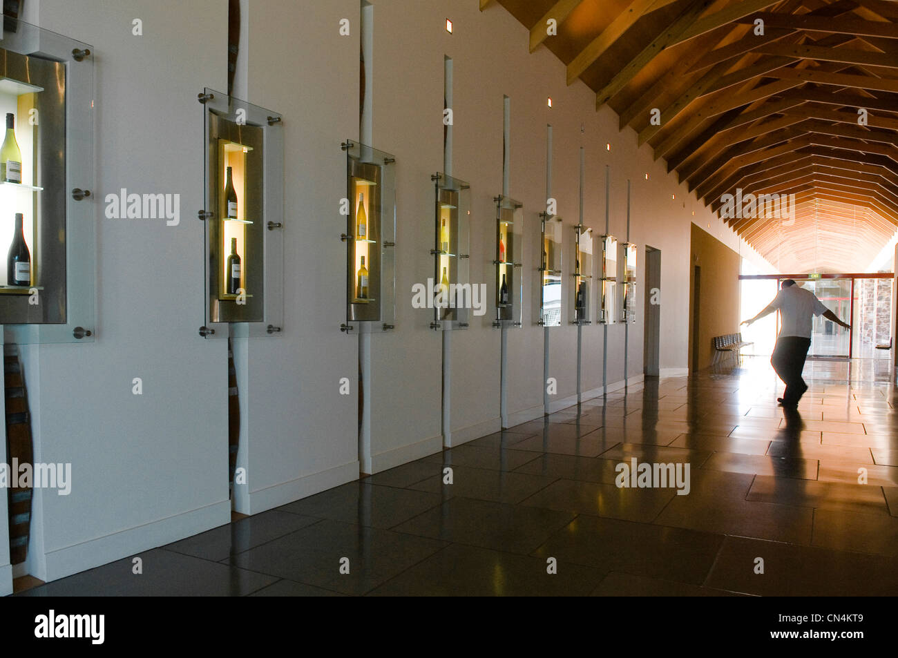 Australien, Victoria, Weinregion Yarra Valley im Norden östlich von Melbourne, Yering Station Winery Stockfoto