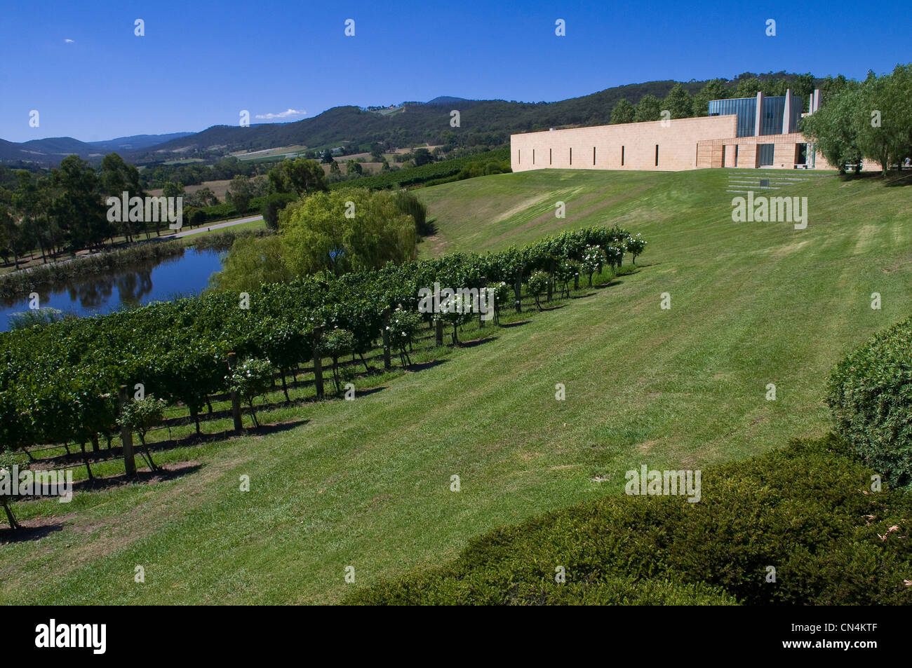 Australien, Victoria, Weinregion Yarra Valley im Norden östlich von Melbourne, Tarra Warra Estate Winery auf Stockfoto