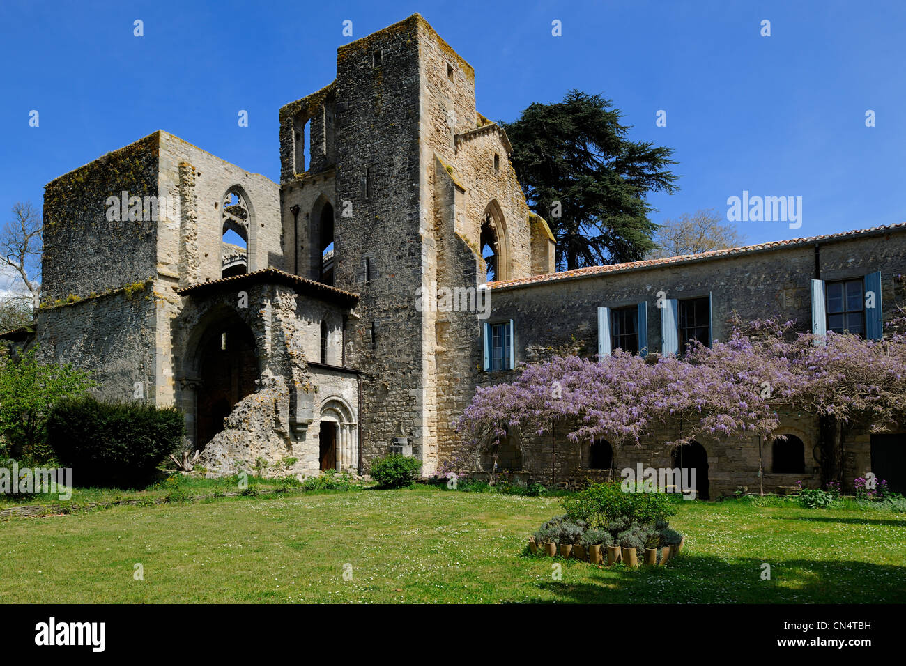 Frankreich, Aude, St Martin le Vieil, die ehemalige Zisterzienser-Abtei Villelongue und Gästehaus Stockfoto