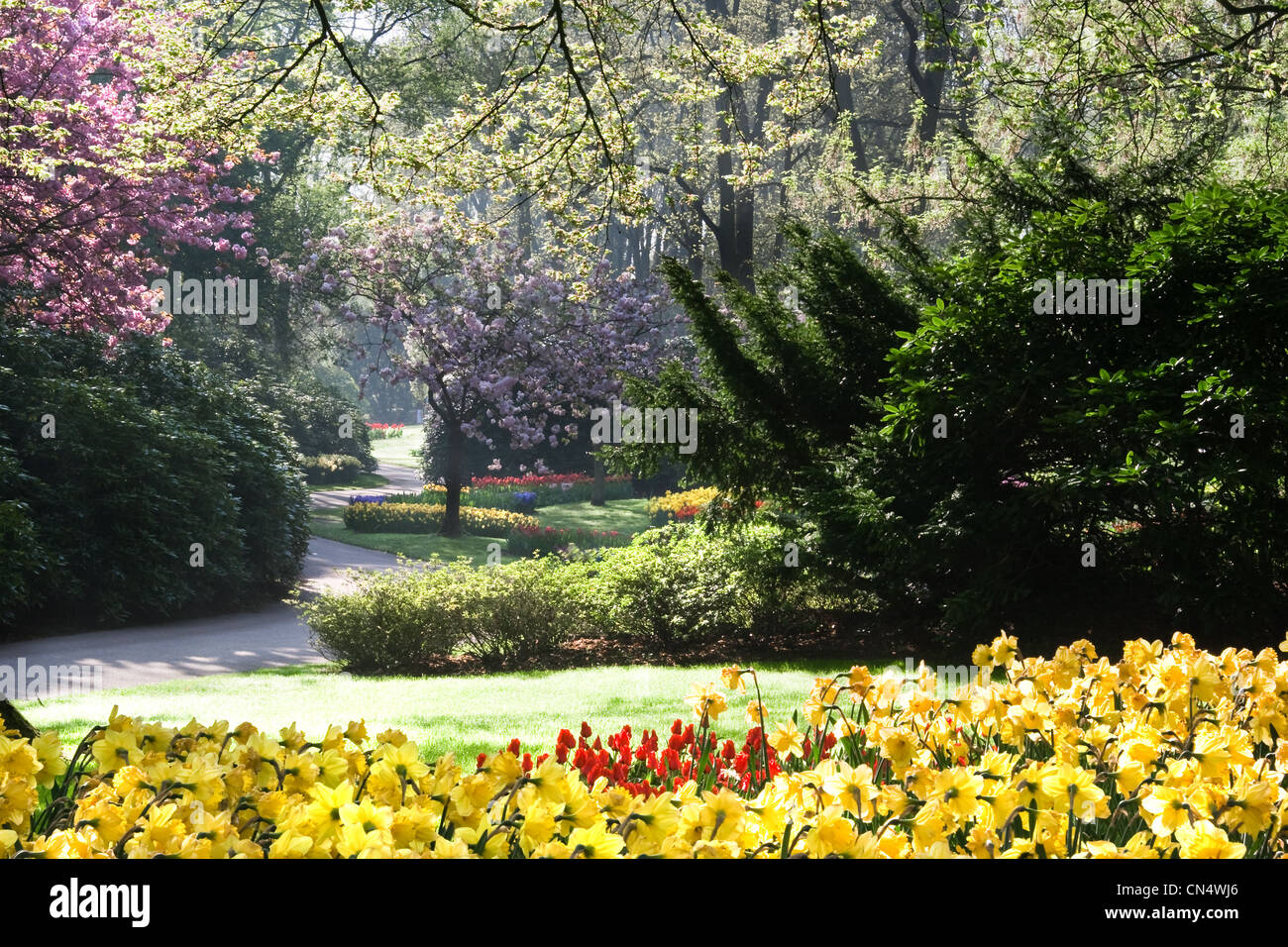 Blühenden Park im Frühjahr am frühen Morgen Stockfoto