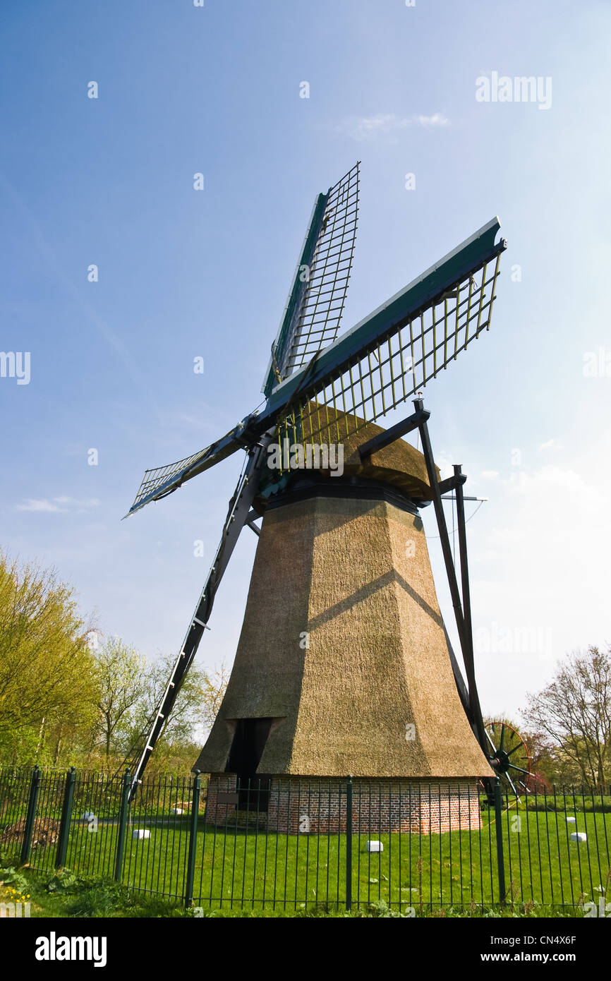 Holländische Mühle mit Zaun an sonnigen April-Nachmittag Stockfoto