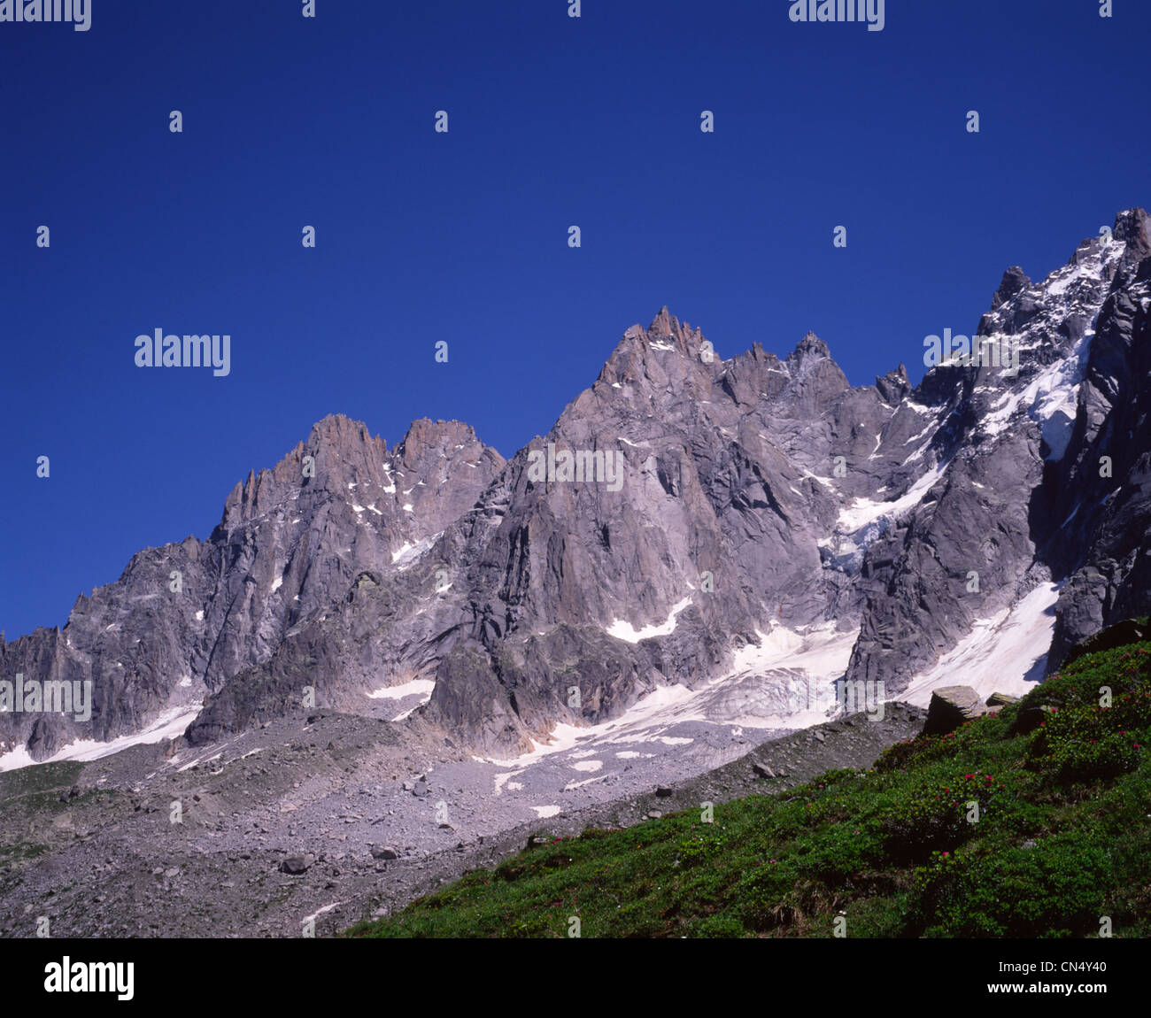 Alpine Berge im Sommer Stockfoto